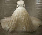 AM384